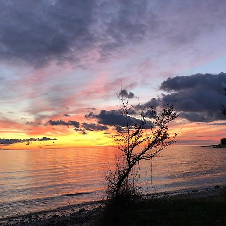 شقة App Sorgo Novigrad Istria المظهر الخارجي الصورة