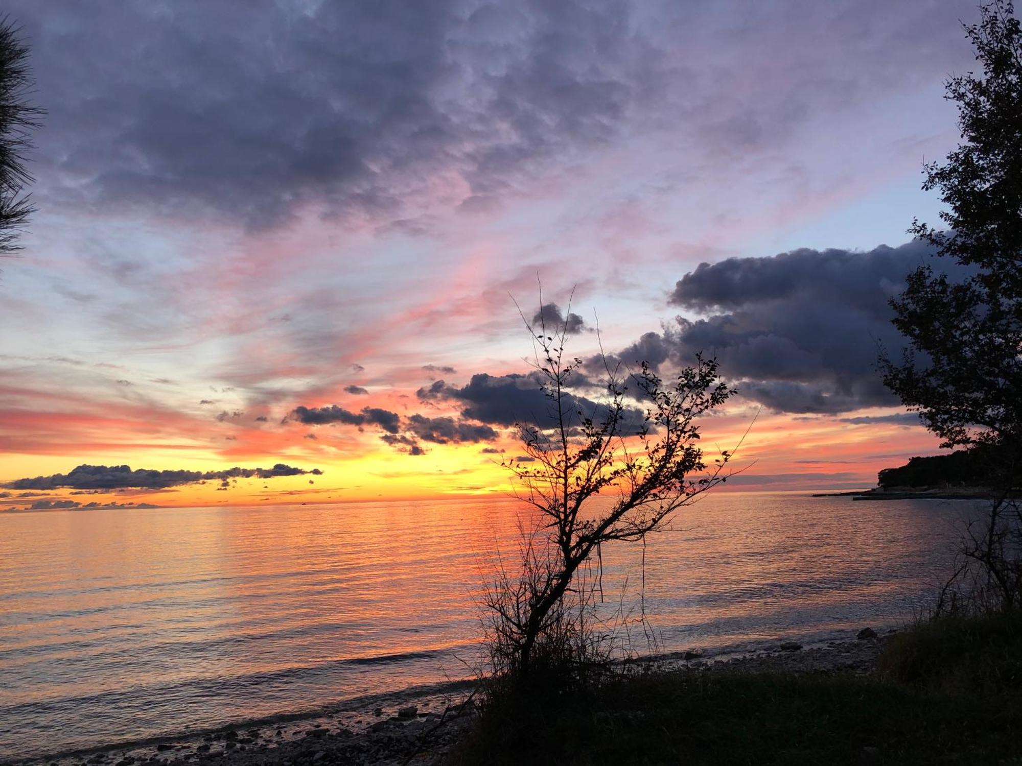 شقة App Sorgo Novigrad Istria المظهر الخارجي الصورة