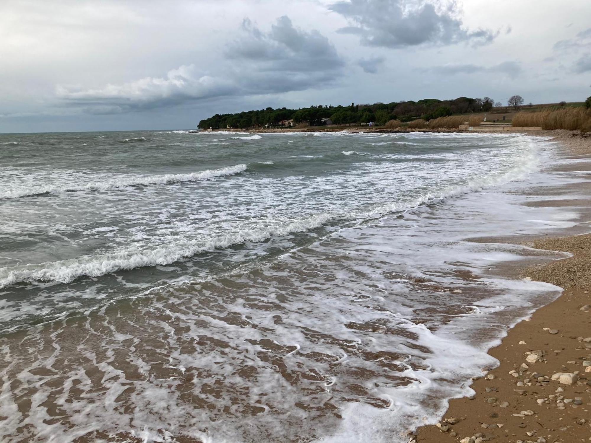 شقة App Sorgo Novigrad Istria المظهر الخارجي الصورة