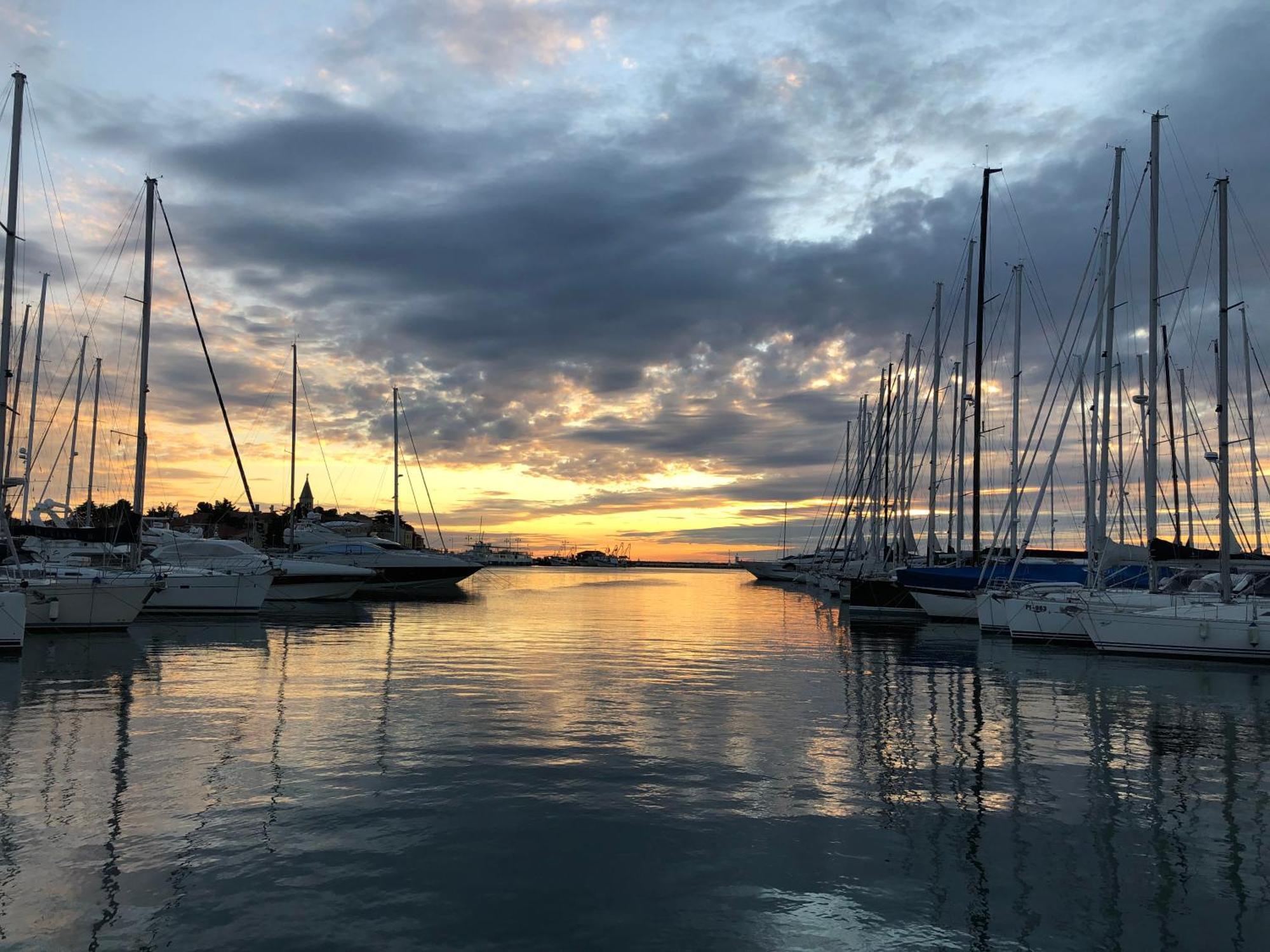 شقة App Sorgo Novigrad Istria المظهر الخارجي الصورة