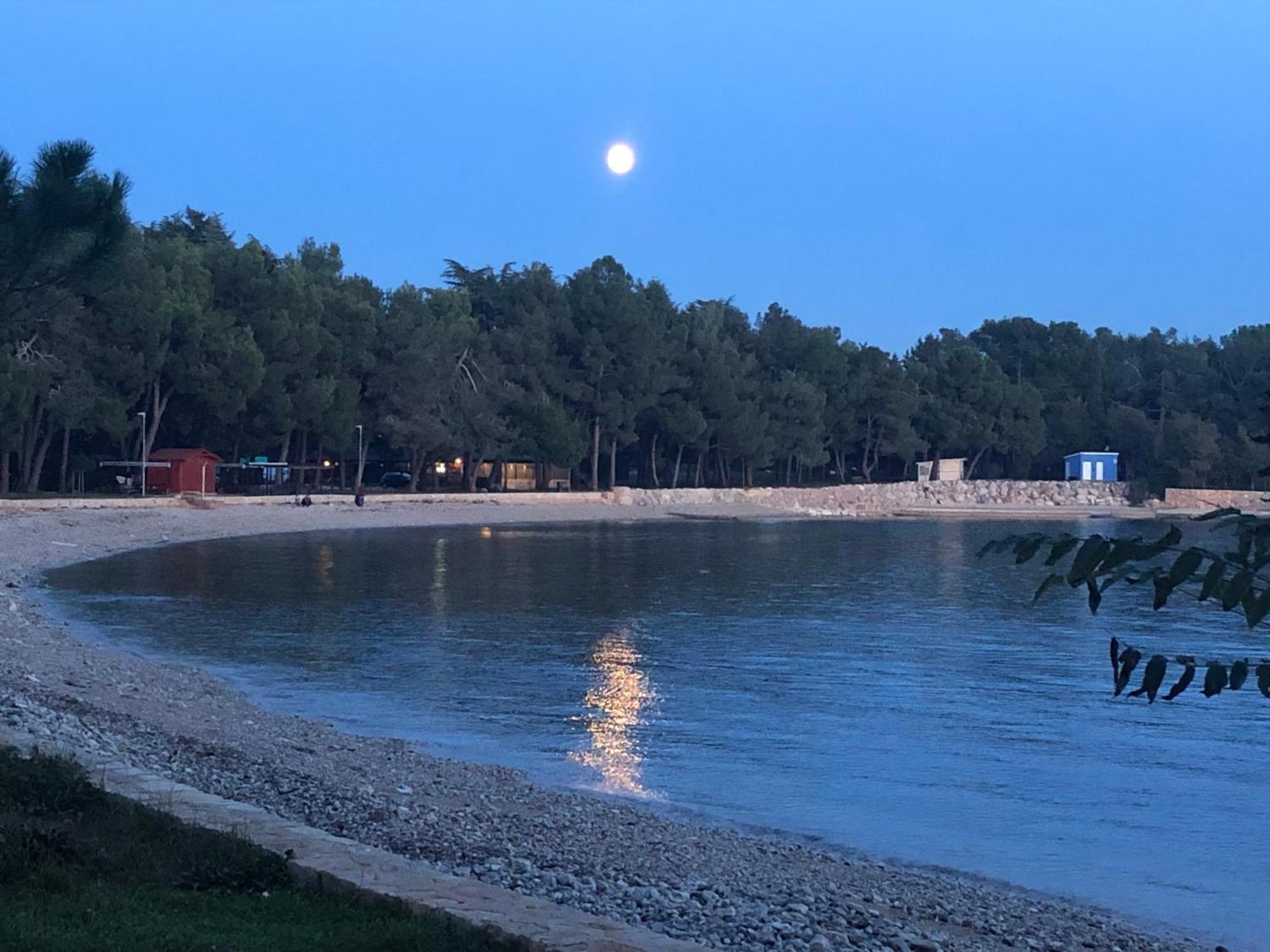 شقة App Sorgo Novigrad Istria المظهر الخارجي الصورة