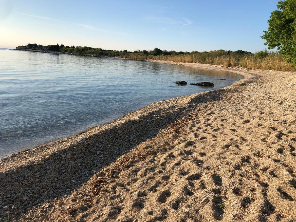 شقة App Sorgo Novigrad Istria المظهر الخارجي الصورة