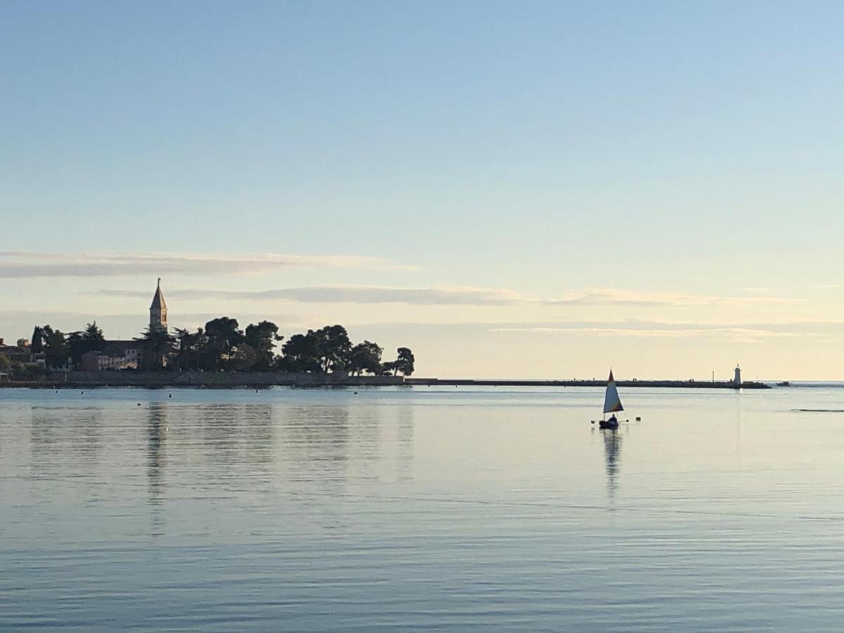 شقة App Sorgo Novigrad Istria المظهر الخارجي الصورة