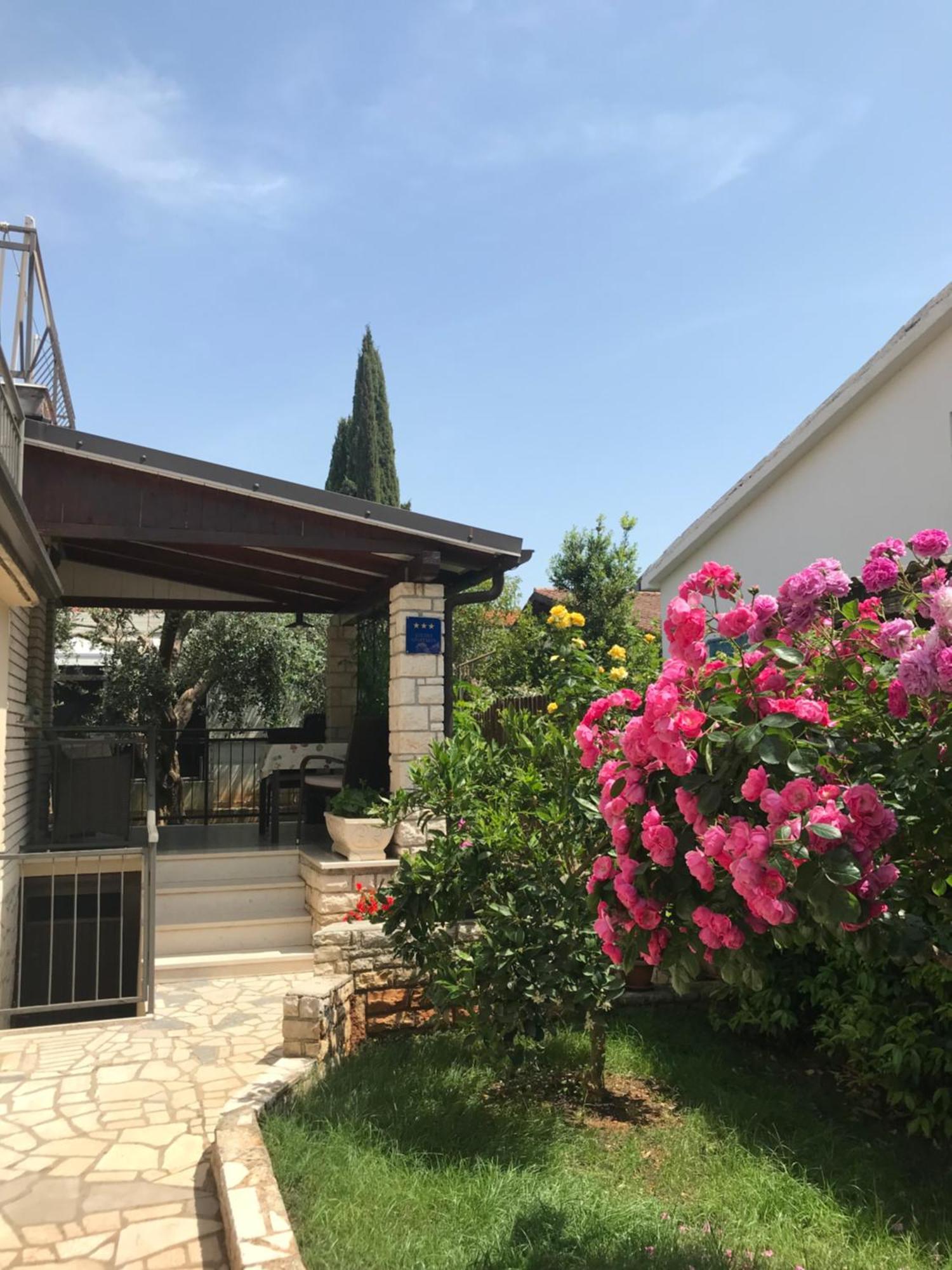 شقة App Sorgo Novigrad Istria المظهر الخارجي الصورة