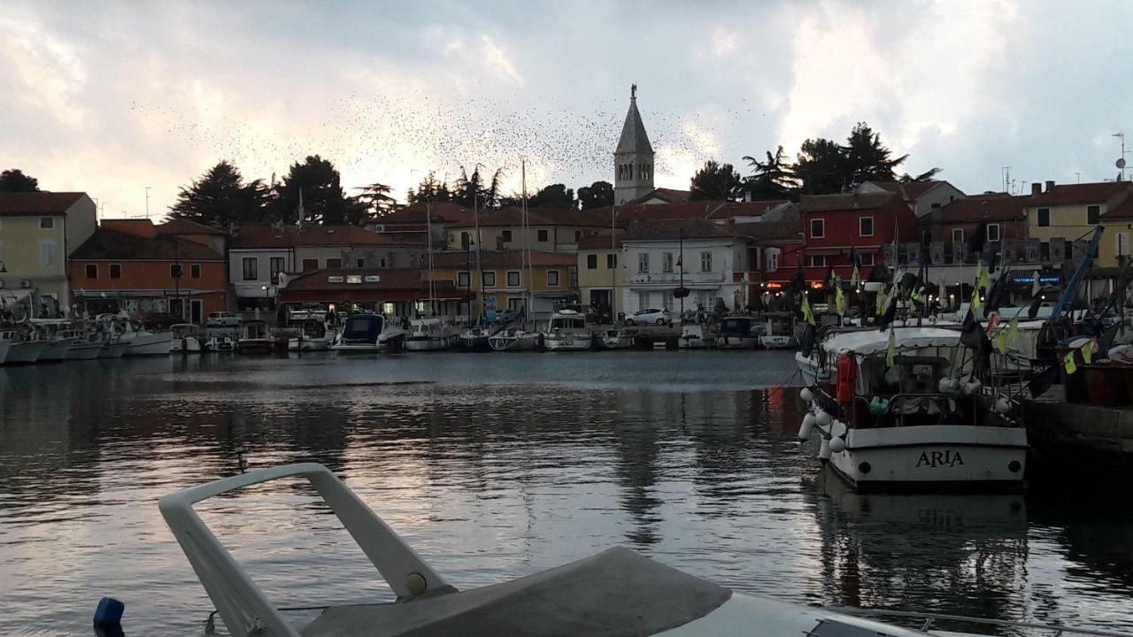 شقة App Sorgo Novigrad Istria المظهر الخارجي الصورة