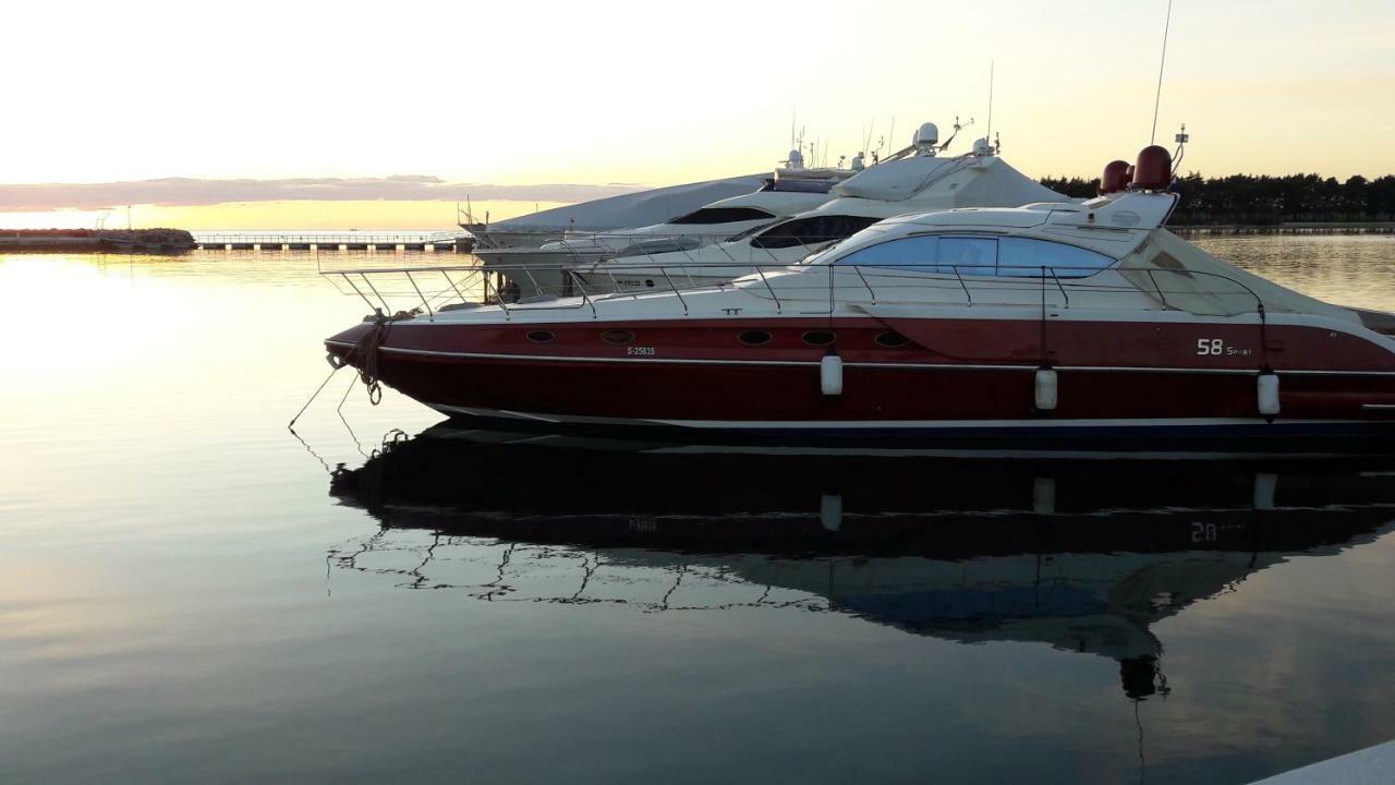 شقة App Sorgo Novigrad Istria المظهر الخارجي الصورة